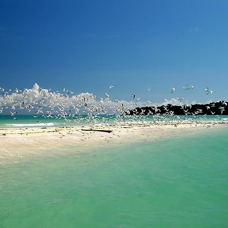 Le Zahir Lodge Ambatoloaka  Bagian luar foto