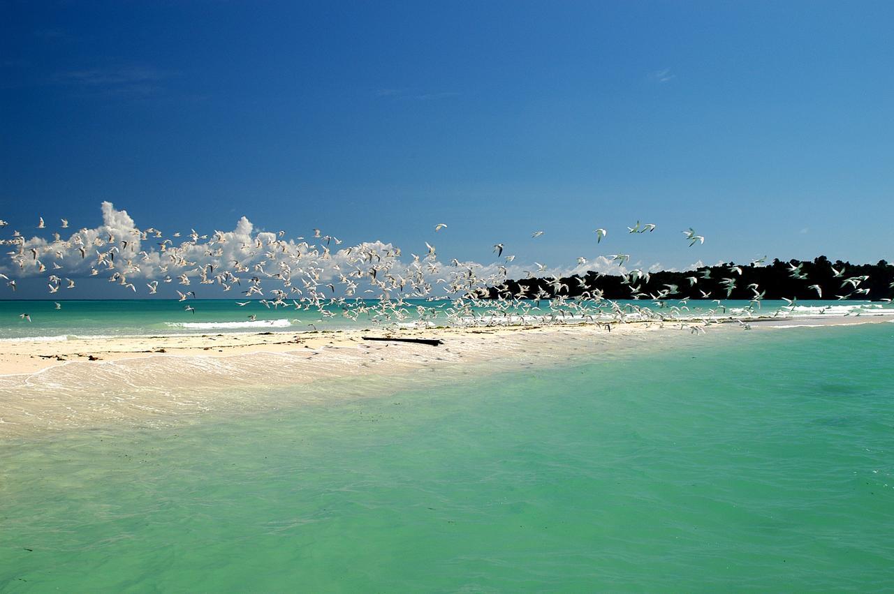Le Zahir Lodge Ambatoloaka  Bagian luar foto